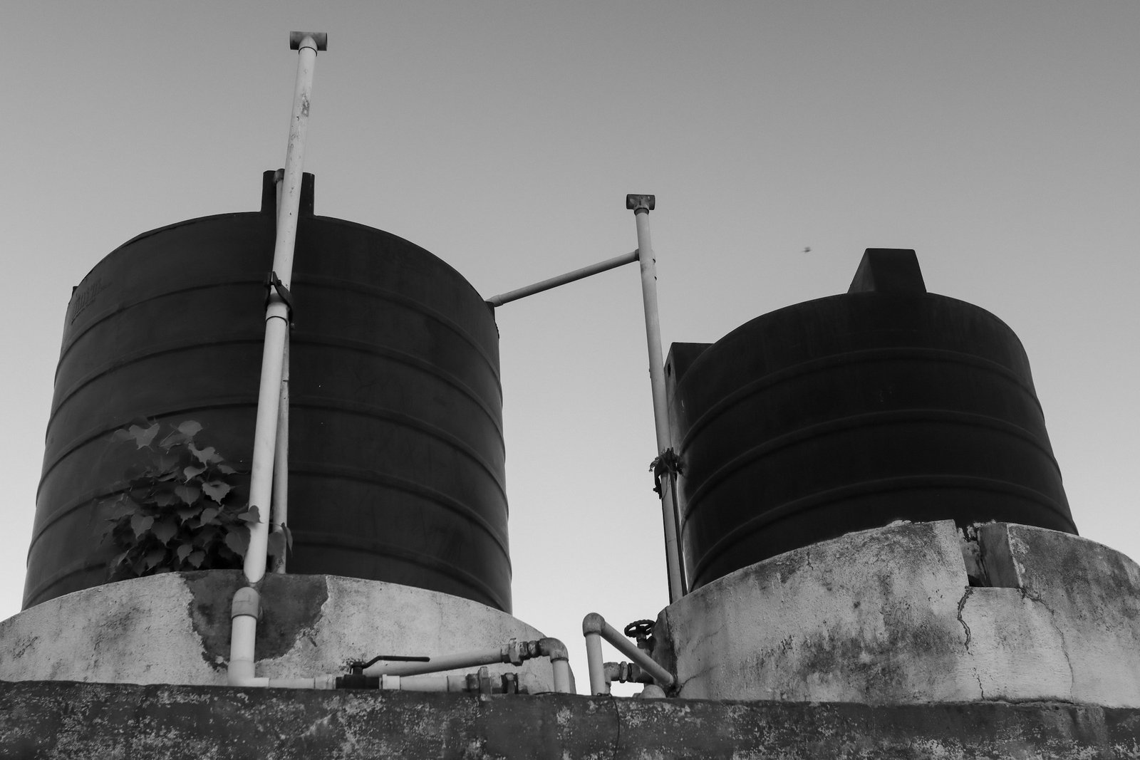 Water Supply & Infrastructure
